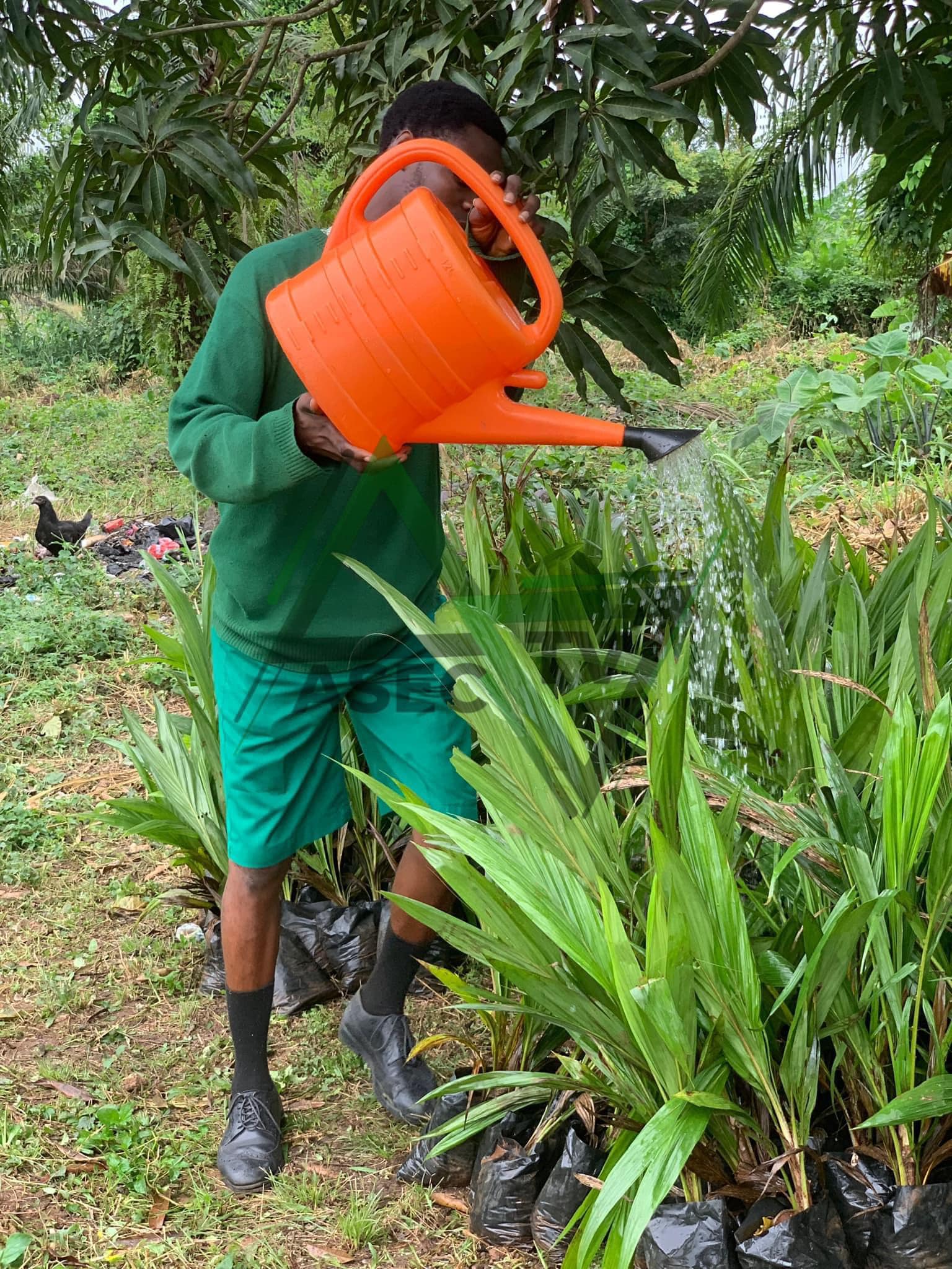 agric